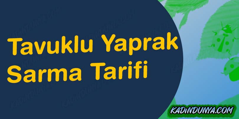 Tavuklu Yaprak Sarma Tarifi