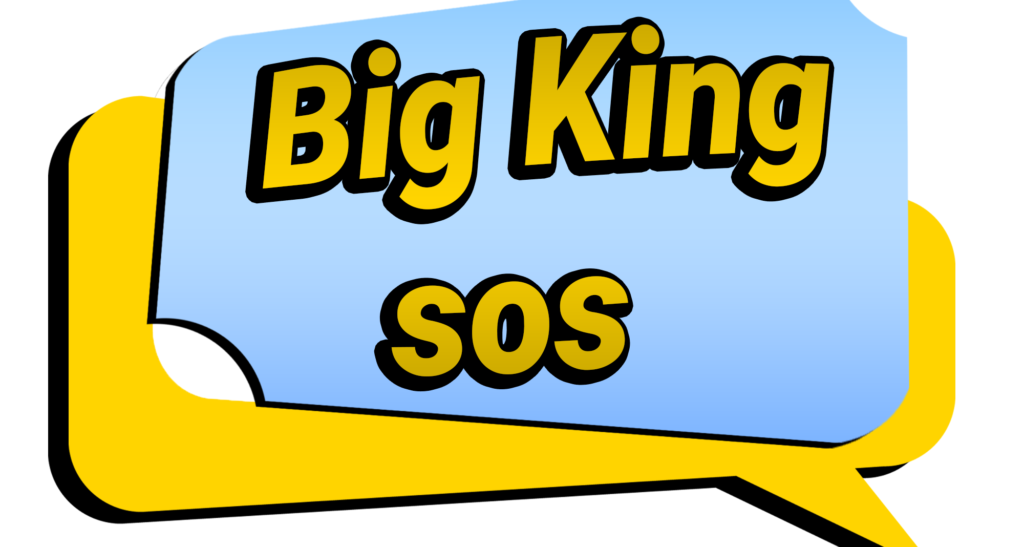 Big King sos tarifi