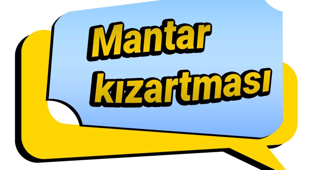 Mantar kızartması