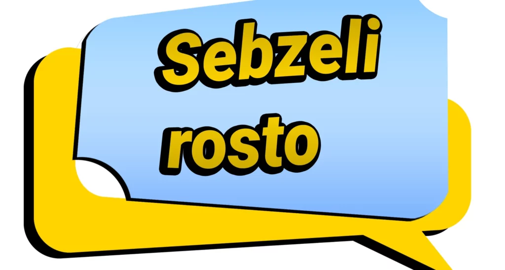 Sebzeli rosto tarifi